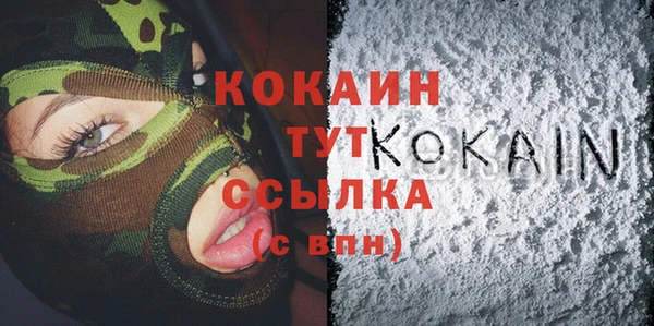 твердый Инта