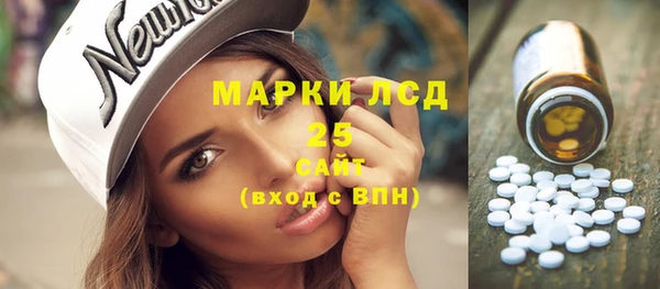 Альфа ПВП Инсар