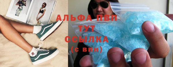 твердый Инта