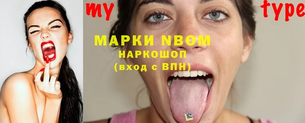 стаф Каменка