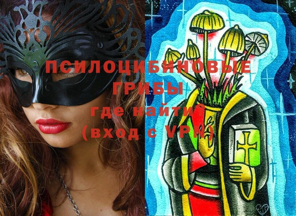 Альфа ПВП Инсар