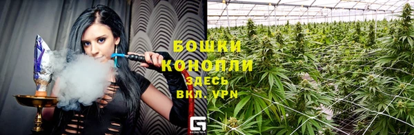 твердый Инта