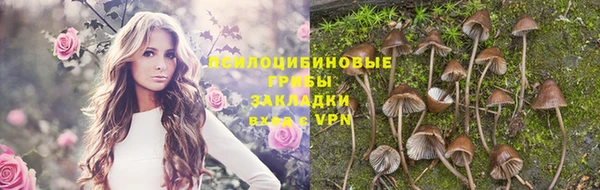 прущие крисы Иннополис
