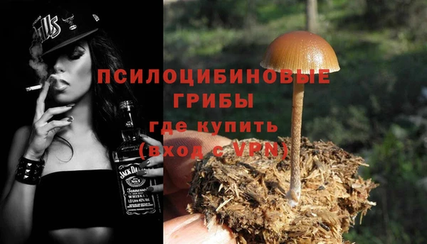 твердый Инта