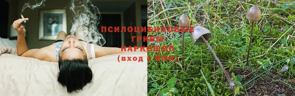 твердый Инта