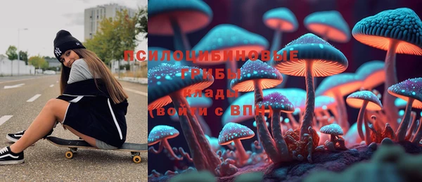 твердый Инта