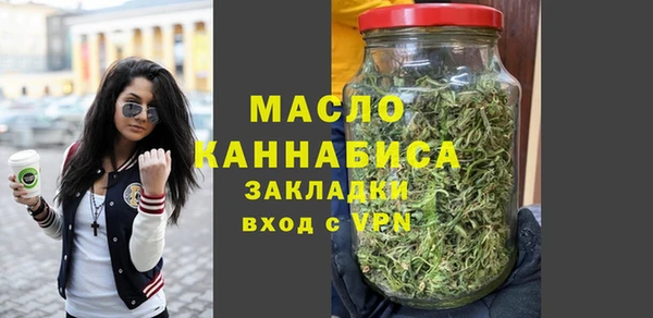 твердый Инта