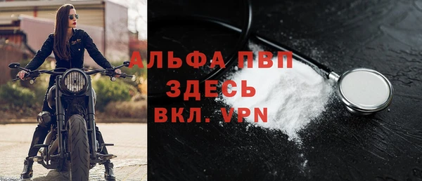 Альфа ПВП Инсар