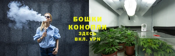 Альфа ПВП Инсар