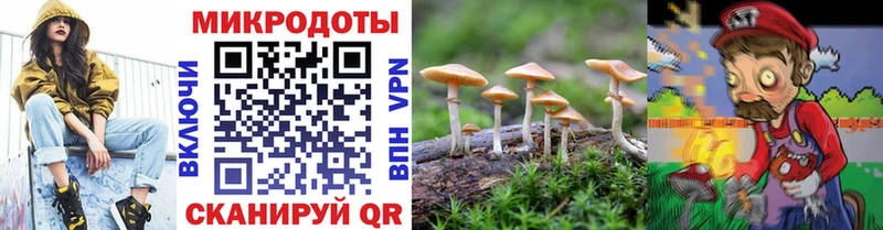 Галлюциногенные грибы Psilocybine cubensis  Купить где  Хотьково 